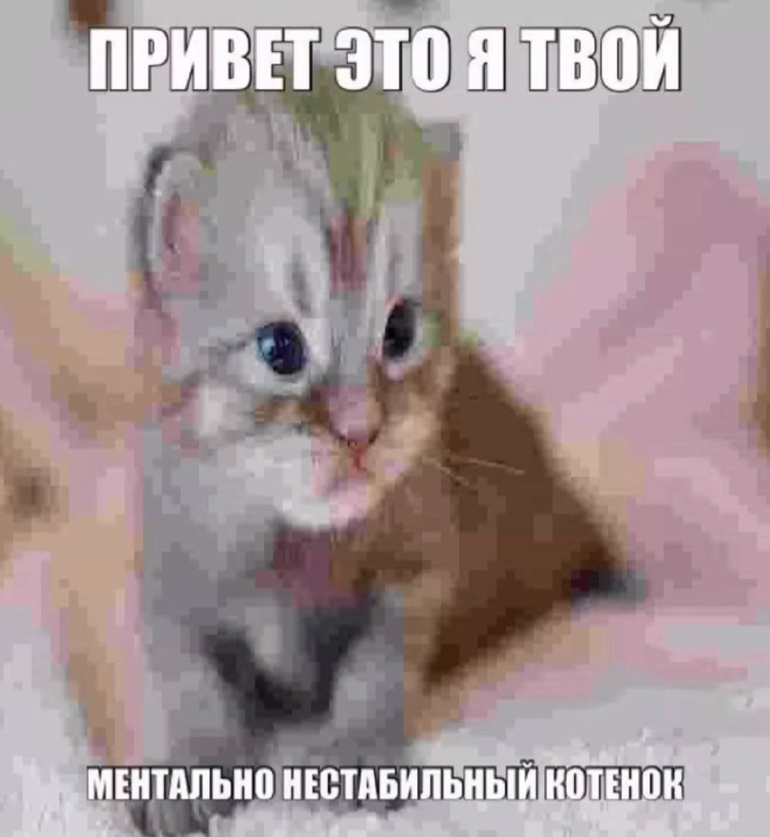 Всем привет, я кушаю сасиську в тесте и пью какаву. Вопрос дня: хотел… — Dhomochevsky · Стрекоза