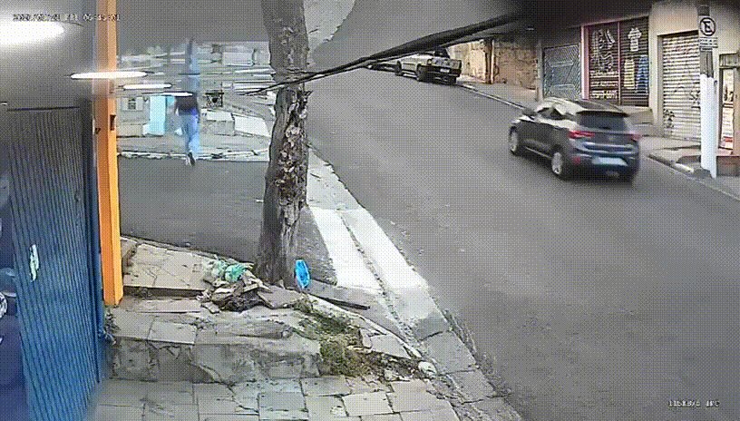История из солнечного Сан-Паулу (гифка) Двое ушлых бразильцев поймали… — Rottingdotcom · Стрекоза