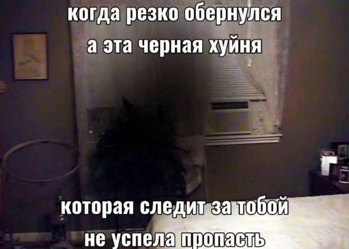 Десять часов стабильного функционирования ощущаются просто прекрасно… — Lektor_Gay · Стрекоза