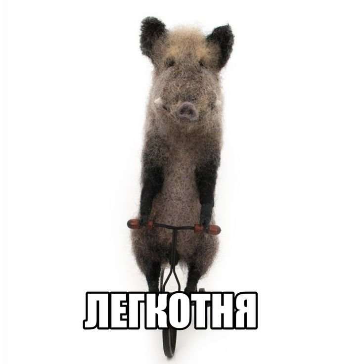 зе кабан — Sosodiek · Стрекоза