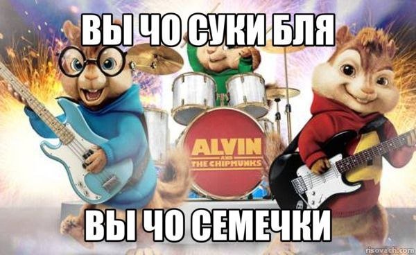 Пятка благости 🦶🦶🦶 Почешите пятку благости 🦶🦶🦶🦶🦶🦶🦶🦶🦶Пятка благости по… — hihisko · Стрекоза