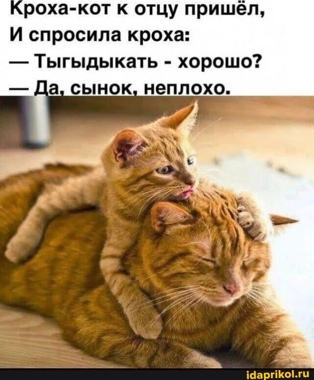 Хули расслабились-то все, горгород криминальней чем туапсе — Klubnichnaya_konfeta · Стрекоза