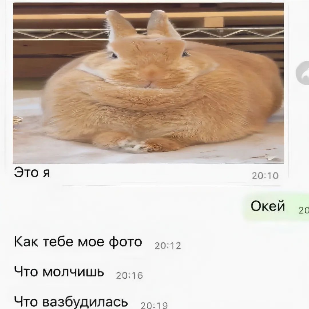 Сука. Хочу себе варана купить, или просто ящерицу, змею. Обожаю холод… — Sc1de · Стрекоза