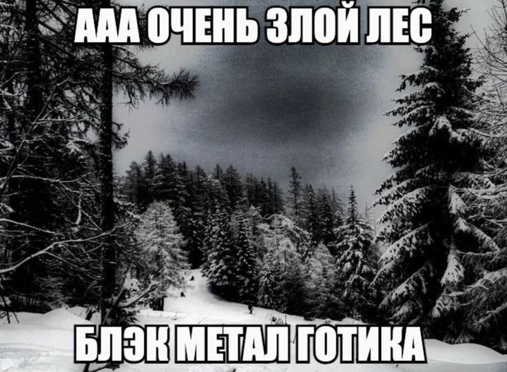 блек метал параша — setupwizard · Стрекоза