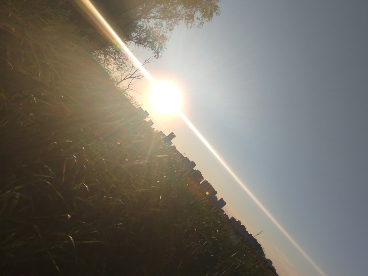 Hello again на пару дней, наверное — falangoid · Стрекоза