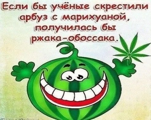 Люди умирают болеют и да жизнь полна дерьма но надо все же куда-то в… — Klubnichnaya_konfeta · Стрекоза