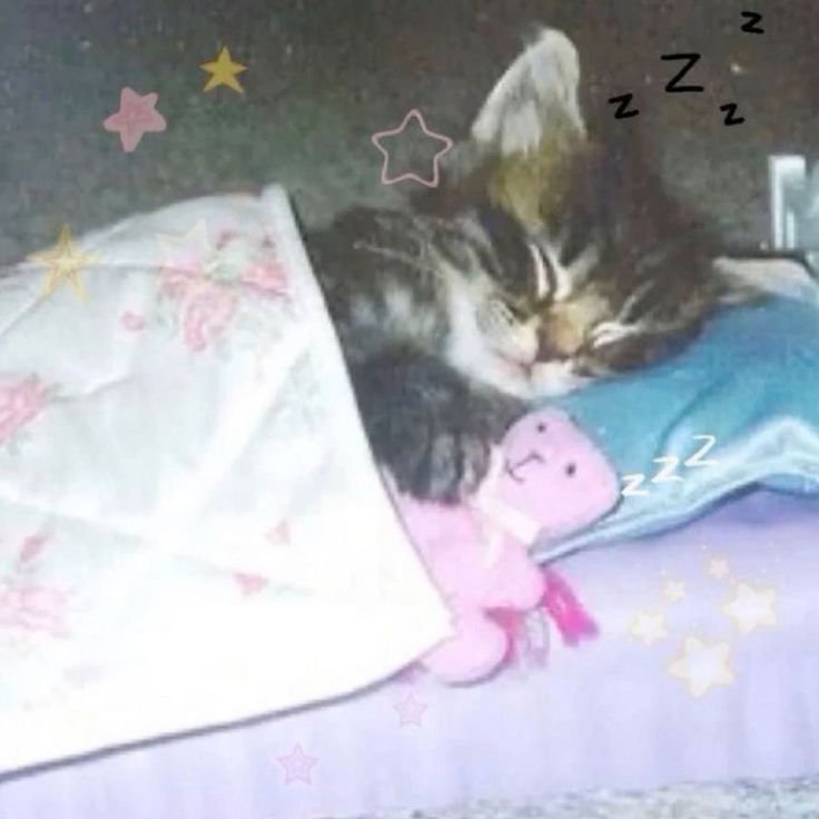 Всем сладких сновидений ⋆｡˚ ☁︎ ˚｡⋆｡˚☽˚｡⋆ — Mikutouch · Стрекоза
