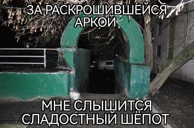 ХОРОШАЯ СОЦСЕТЬ 👍👍👍 и конкурсы интересные — M1NERAL_SUS · Стрекоза
