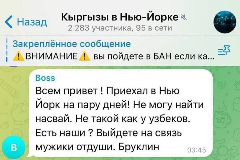 Йоу печенье программное обеспеченье — hihisko · Стрекоза