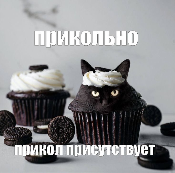 Картинка в стиле мэм — rustwalker · Стрекоза