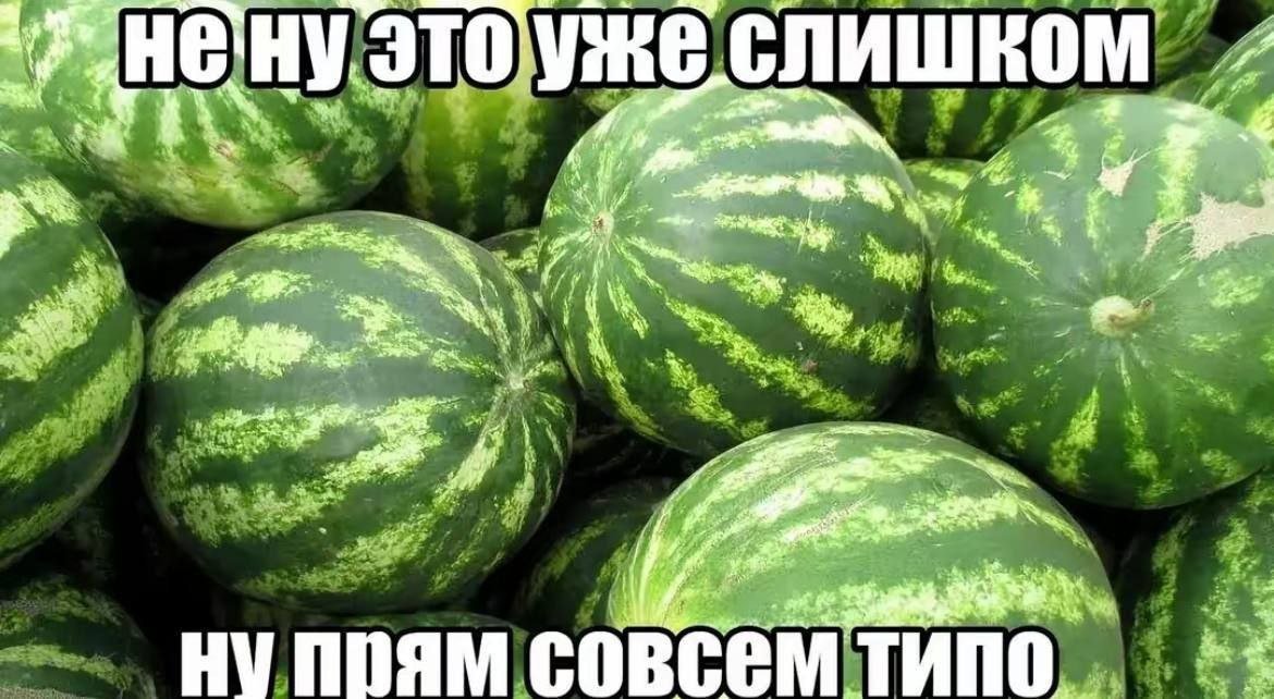 когда саранск: — че · Стрекоза