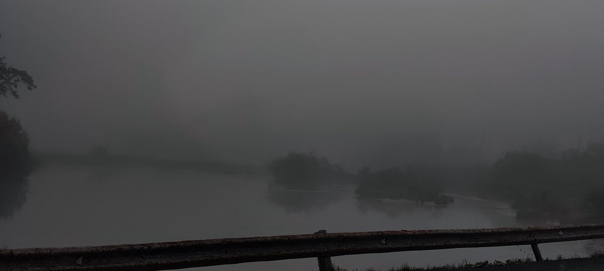 Туман. Вайбово. — Dan_De_Lion · Стрекоза