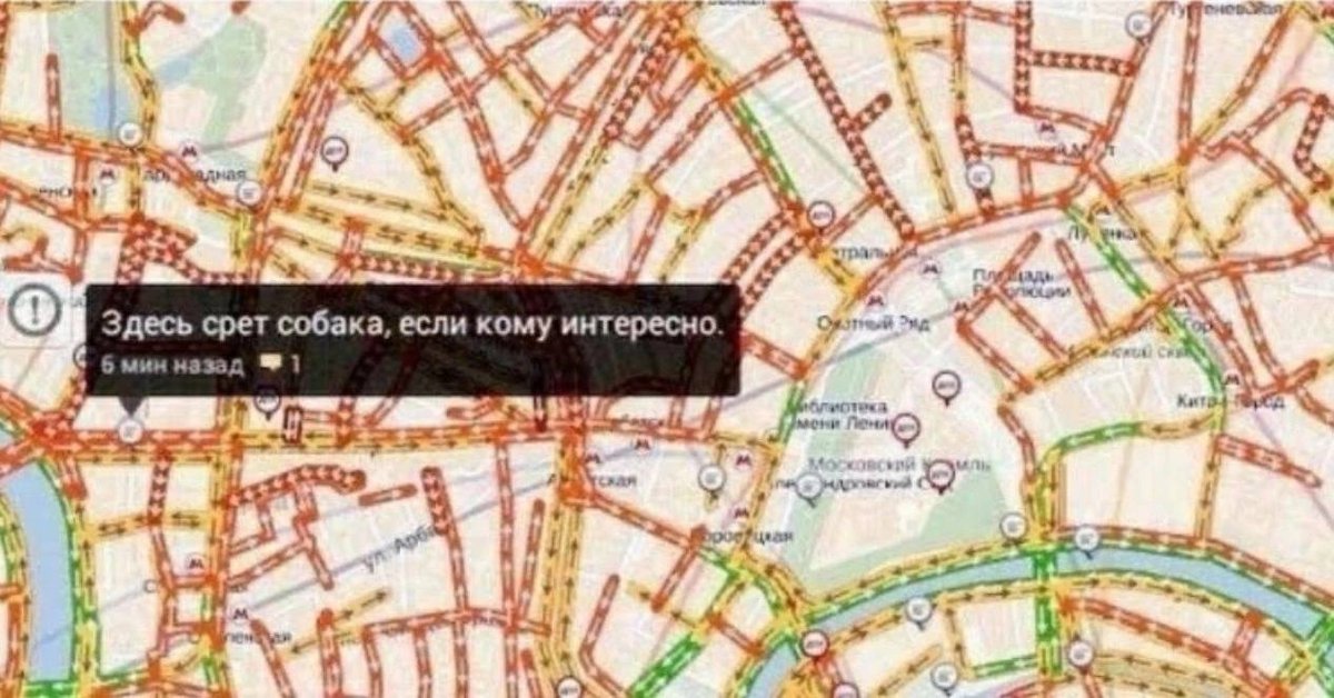 психолог: закройте глаза и загляните в свой внутренний мир. мой внутр… — че · Стрекоза