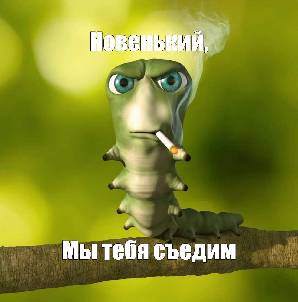 Всем welcom to da party кароч — Dan_De_Lion · Стрекоза