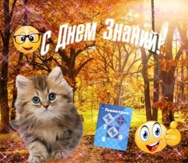 Бля шо со стрекозой происходит ребятки тотальный пиздейшн — Klubnichnaya_konfeta · Стрекоза