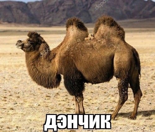 ваши подмышки потеют плавленным сыром? не беда! вам на помощь не прид… — че · Стрекоза