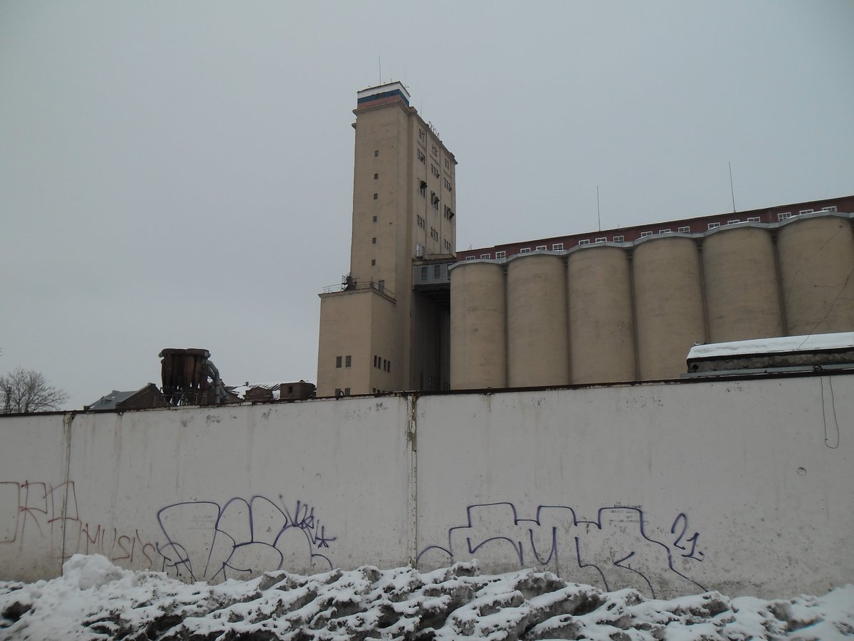 dirtydirt — 743journal · Стрекоза