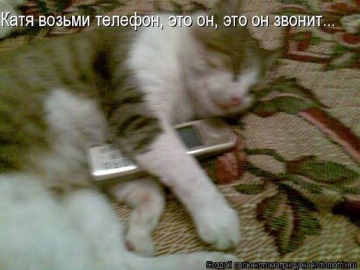 а вы знали что тутм можно звонить людям всем даже админу — Gambo · Стрекоза