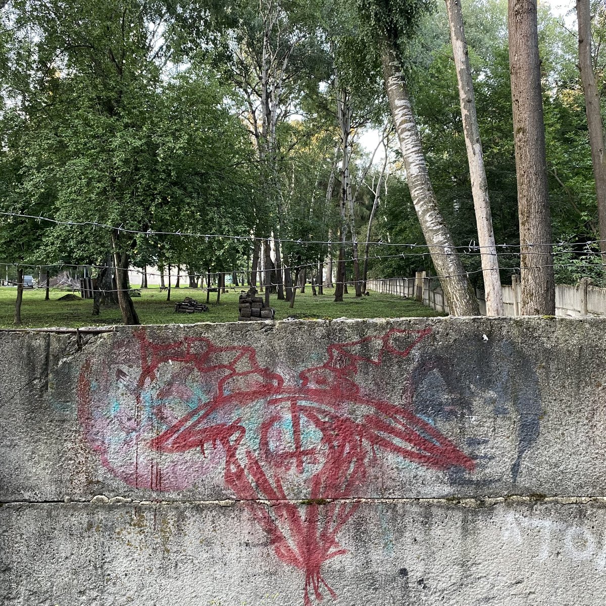 потрогай траву говорили они.. — 5u1fu9 · Стрекоза