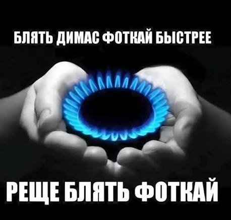 заводные фотографии.jpeg — P4Qgd7sWDQE · Стрекоза