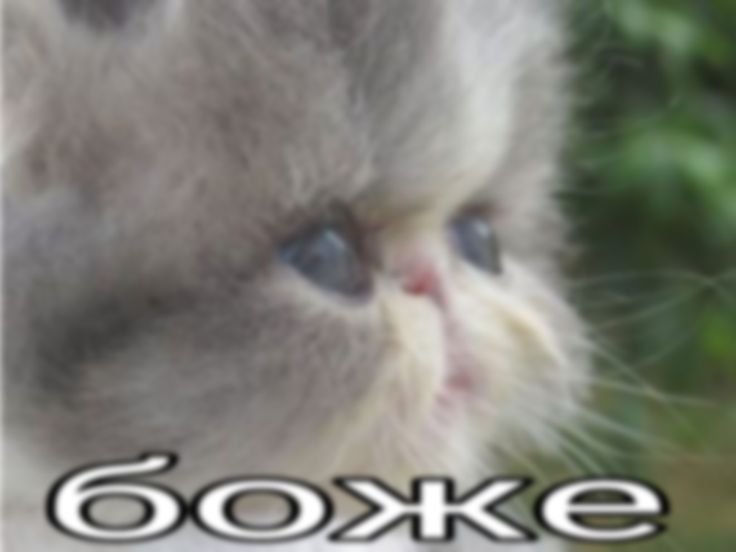 давно меня тут не было ешки-матрешки....хороших выходных! (^^) — musqari · Стрекоза