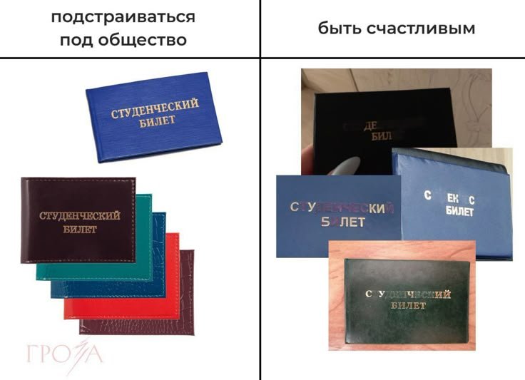 Сегодня выдали студаки, хочу себе секс билет — bl34k_s3r4ph.exe · Стрекоза