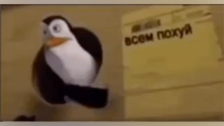 Вы тоже считаете что (лучшие, крутейшие) гифки в тг > (отстойные, пло… — bar1nka · Стрекоза