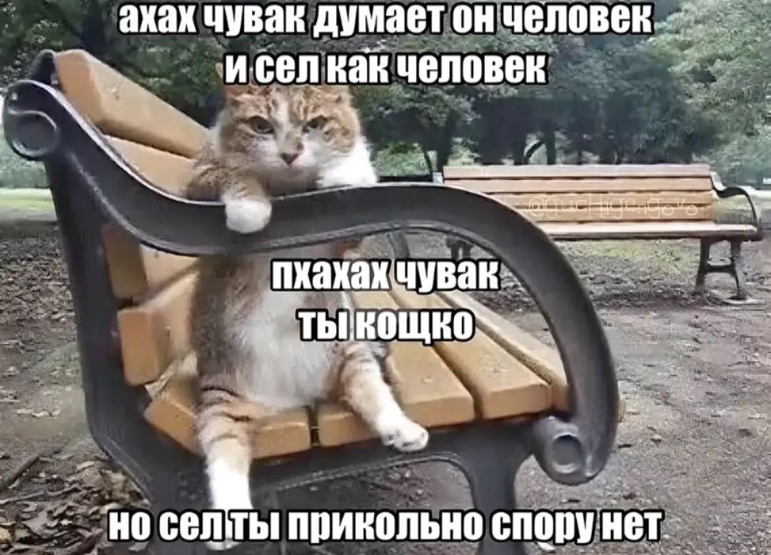 аэ, всем хелолс! — Kelsan · Стрекоза