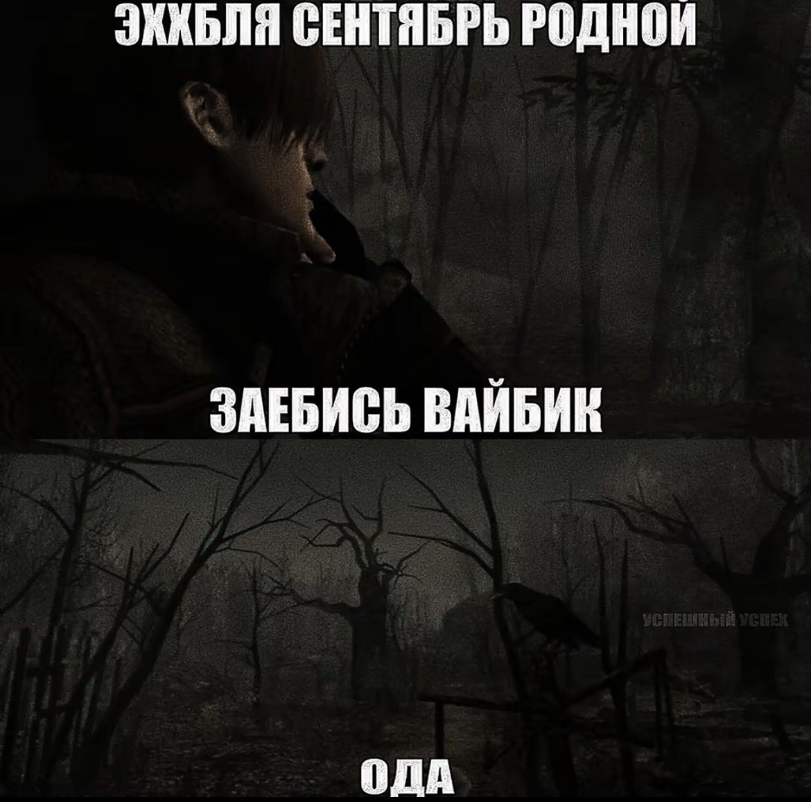 че как дела в первую неделю учебы? — blu.morrow · Стрекоза