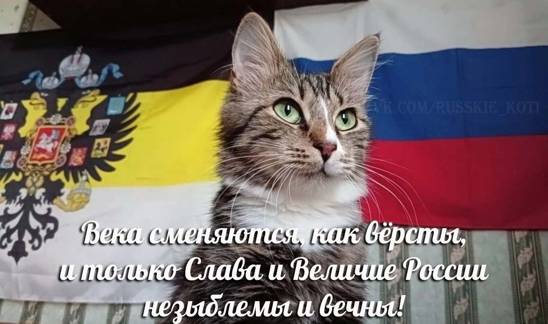 всем привет, это тот самый тимоха из 2026. щас сижу в войсе со своей… — timoha_iz_2026 · Стрекоза