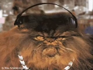 ДА ЭТО МООООООООЙ ХИИИИП ХООООООООООООООООООООООП — ДЛЯ КРУТЫХ РЕПЕРОВ · Стрекоза