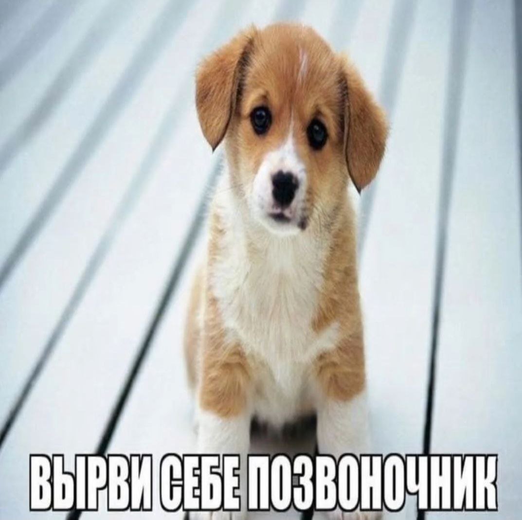 приветик как етим пользовацца — fghusdfg48yugh · Стрекоза