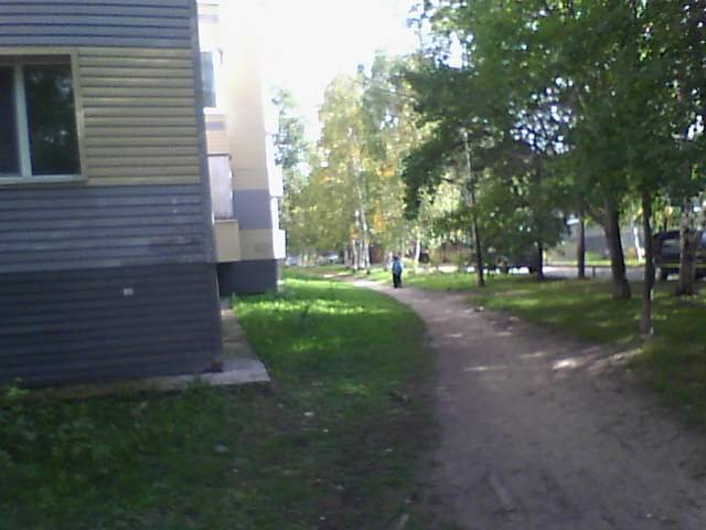 Сегодня был солнечный день, получилось сделать прикольные фоточки. А… — Ценители PSP · Стрекоза
