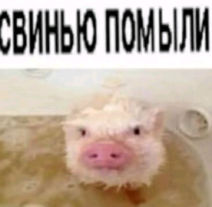 Всем привет, я начинающий тромбонист (по большей части классик, иногд… — stop-kran · Стрекоза