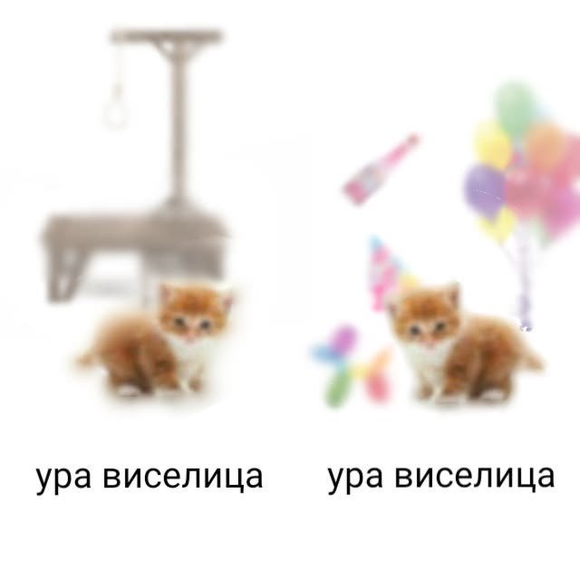 У меня полетели все впн и я теперь не могу зайти в телегу — Bagetskiy · Стрекоза