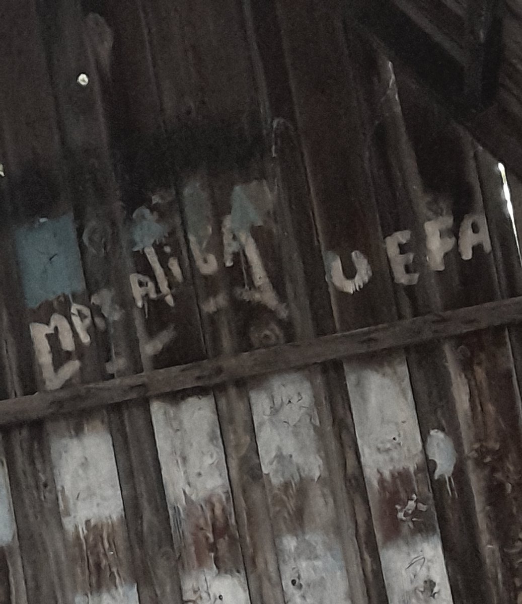 matalica👺👺 — p1nky_n3ko · Стрекоза