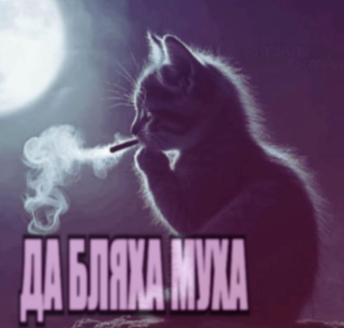Я спать, завтра на работу( Всем споке^⁠_⁠^ — FanatKanibali3ma · Стрекоза