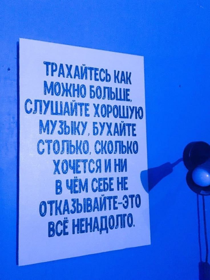 Сегодня 8 сентября 2026 года. У меня ломка от рэпа... Подкиньте дозу… — morewaves · Стрекоза