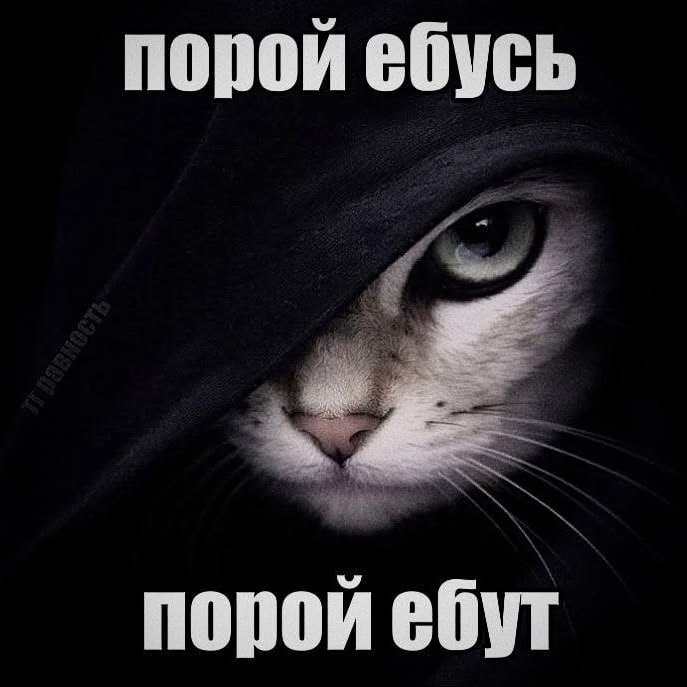 хы — Birdie · Стрекоза