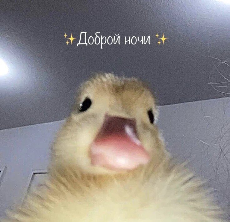 Всем сладких снов <3 — Danyar · Стрекоза