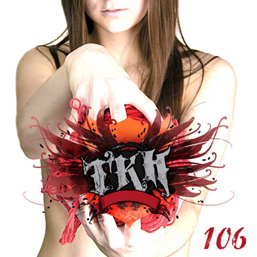 TKN (ранее известная как «ТонкаяКраснаяНить») играет в жанрах металко… — emo music make me cry p(^_^)q · Стрекоза