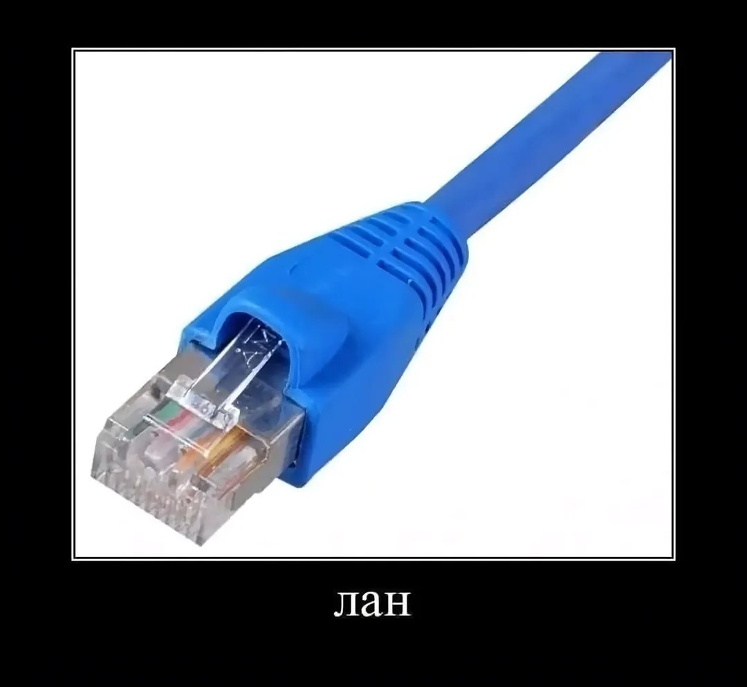 Отправьте самый тупой мем — Flnnd13 · Стрекоза