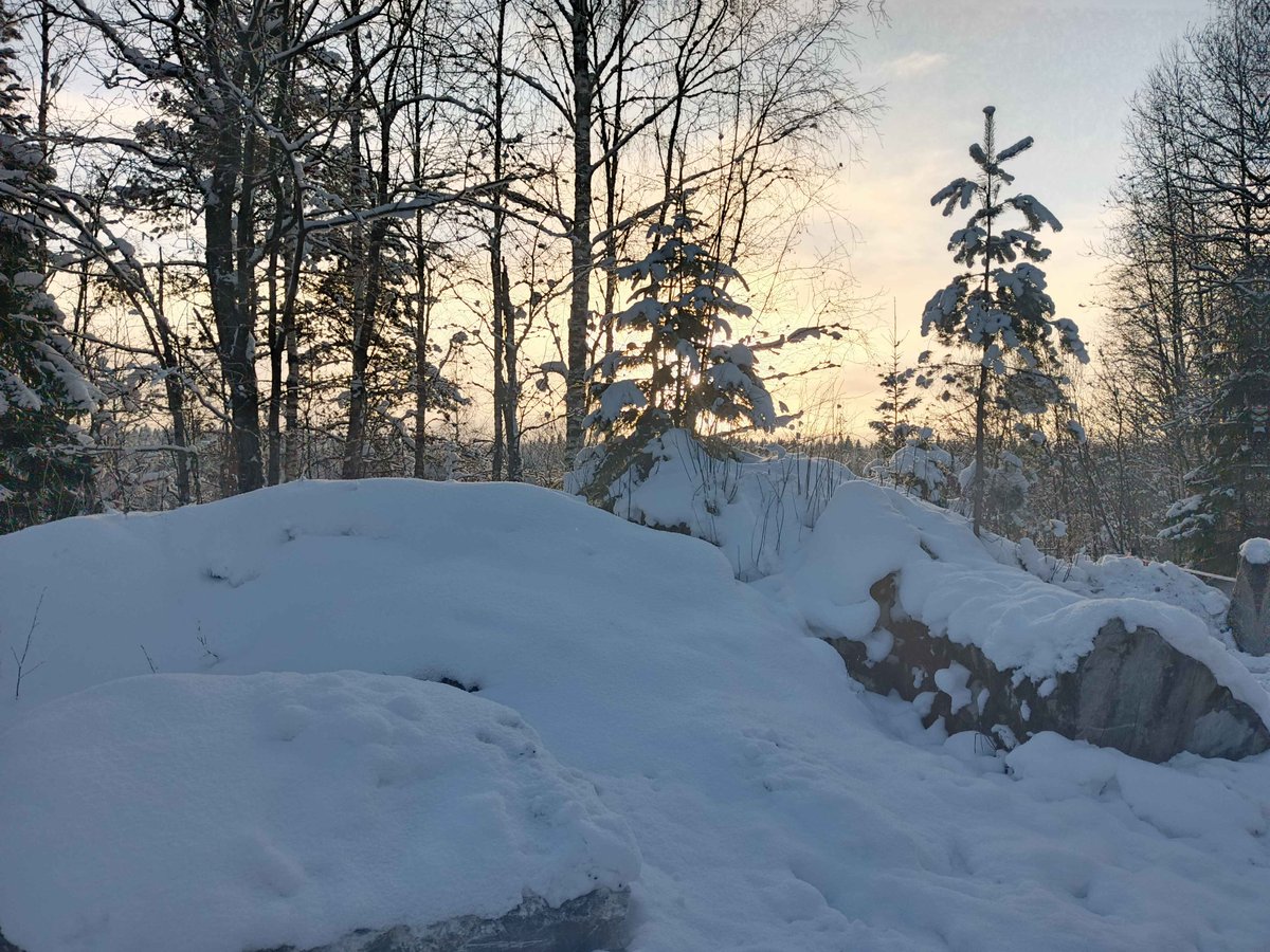 Фото сделано где то в феврале — HunterSS · Стрекоза