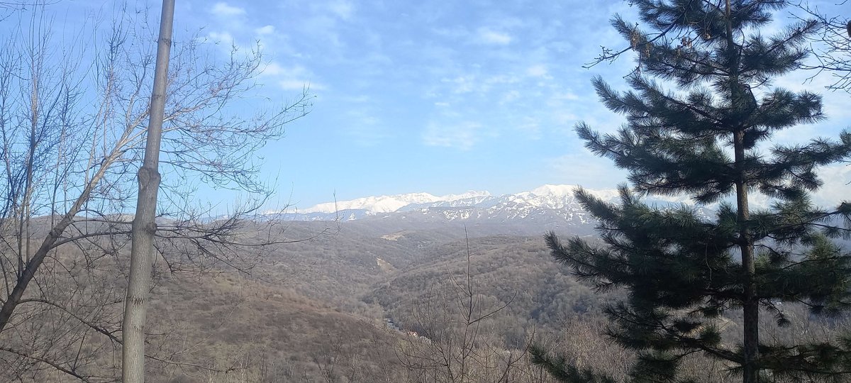 древненькие какие то фотки — HunterSS · Стрекоза