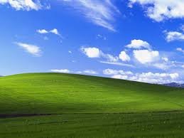 Ребят, кто знает: этот сайт запустится на настоящем Windows XP? — aprold · Стрекоза
