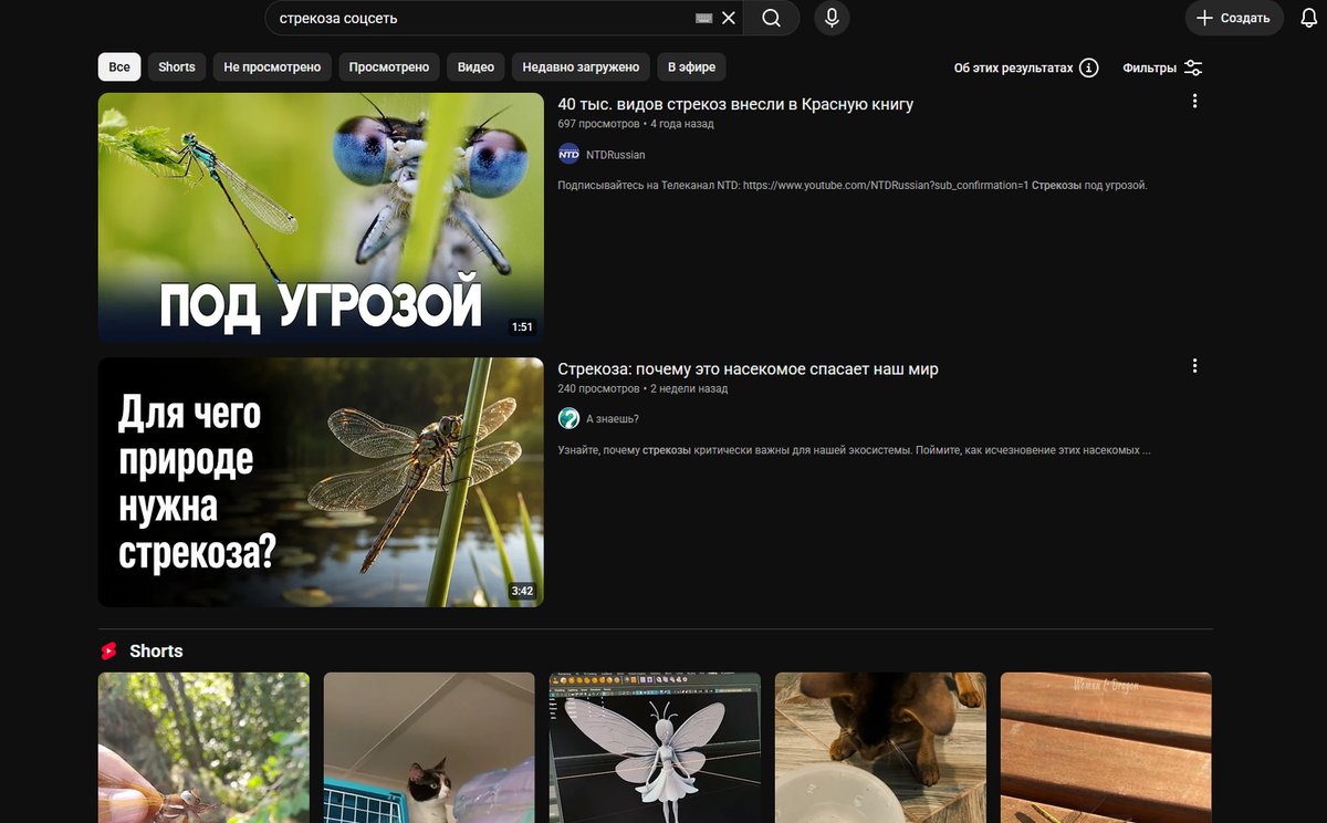 сайт до сих пор нишевый — windybindy · Стрекоза