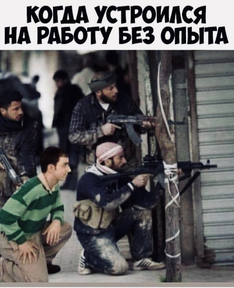 всем прив. я в мск (ура). перевезла все вещи и черепаху, у нее теперь… — Strahovidla · Стрекоза