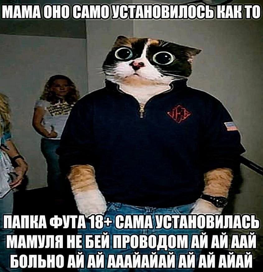 я проснулся, время хуевых мемов — andreyeyeye · Стрекоза