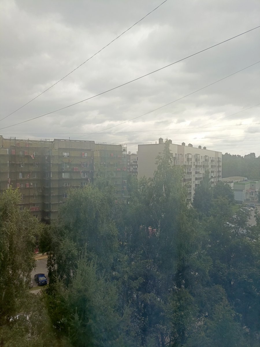 Тополиный пух, жара июль... — List · Стрекоза