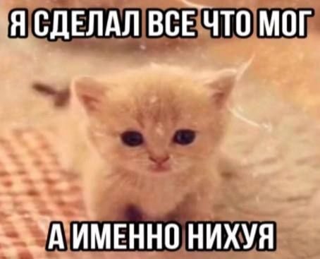 Доброе утро школьникам, я безработный сижу дома, всего доброго — akrapov · Стрекоза